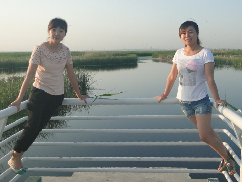 万利·(中国区)官方网站入口