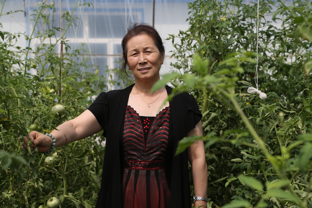 万利·(中国区)官方网站入口